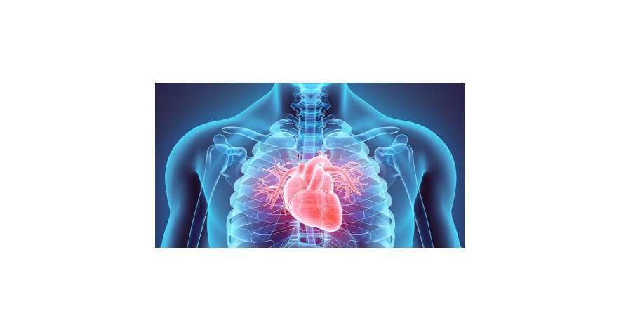 Cardiotraining für Kraftsportler - Cardiotraining für Kraftsportler - Die perfekte Kombination
