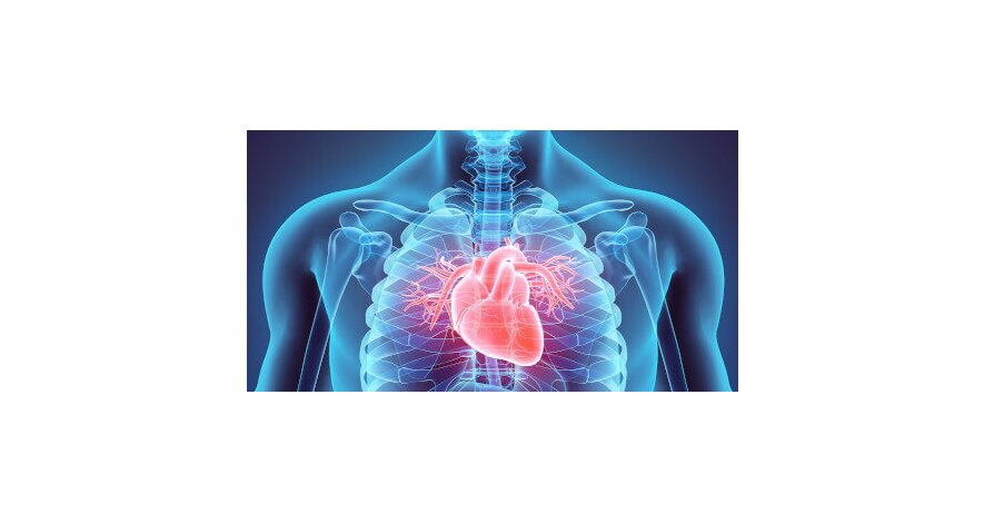 Cardiotraining für Kraftsportler - Cardiotraining für Kraftsportler - Die perfekte Kombination