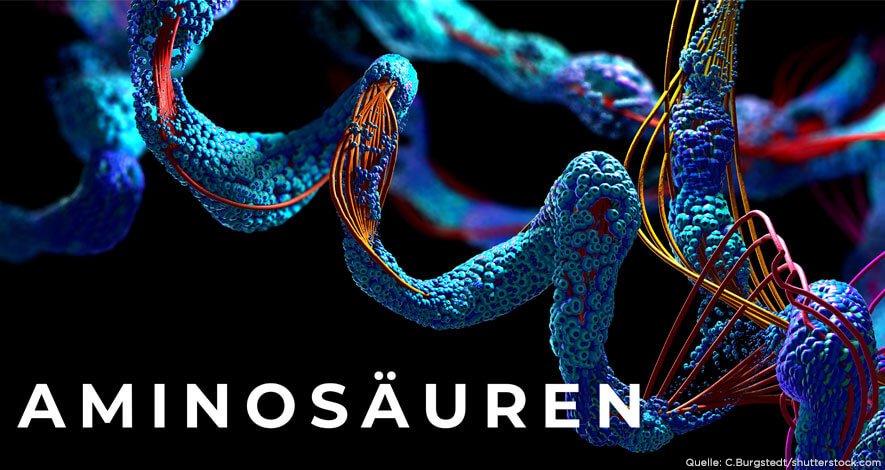 Was sind essentielle Aminosäuren und wie kannst Du davon profitieren?