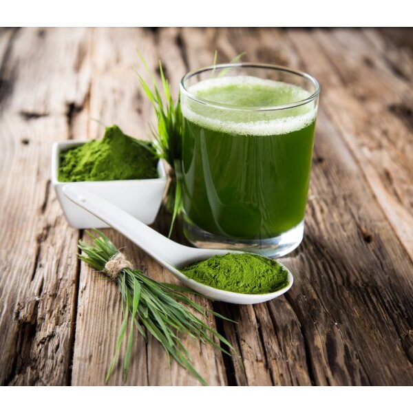 VEGJi Bio Gerstengras Pulver - 500g/1000g