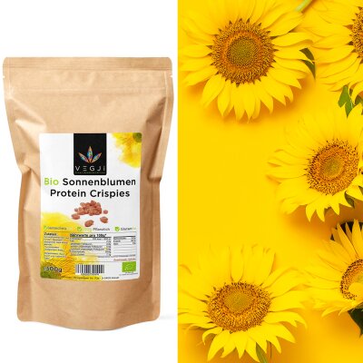 VEGJi Bio Sonnenblumen Protein Crispies - 500g Schoko