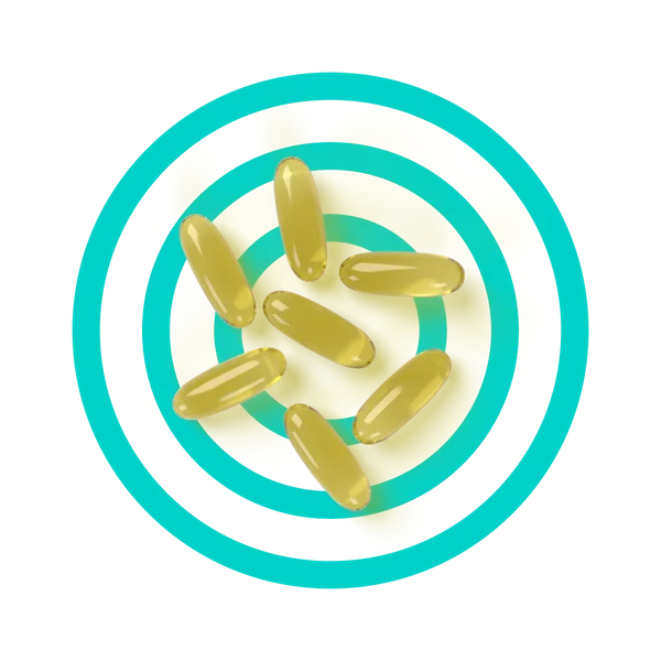 Opti3 Omega3 DHA & EPA 60 Kapseln