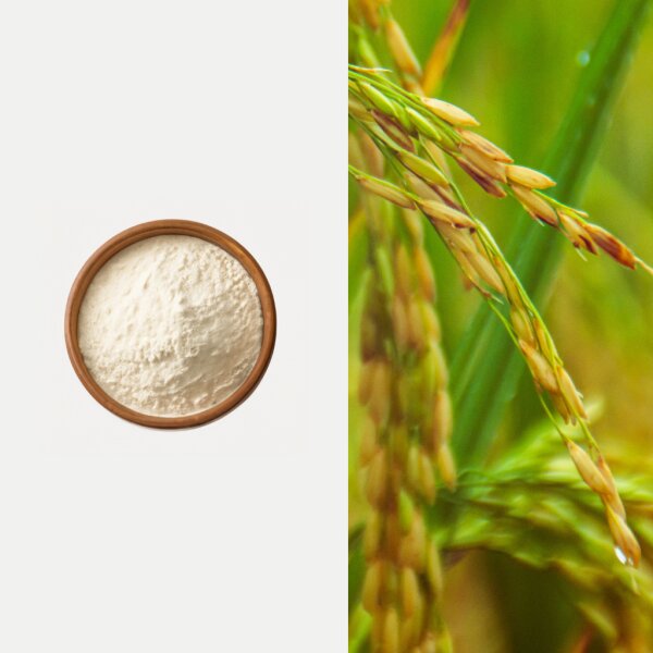 VEGJi Bio Reisprotein in Rohkostqualität - 1000g