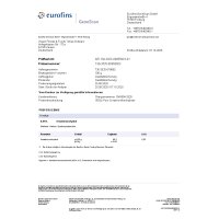 VEGJi Pure Creatine Monohydrate | Kreatin Monohydrat - 500g