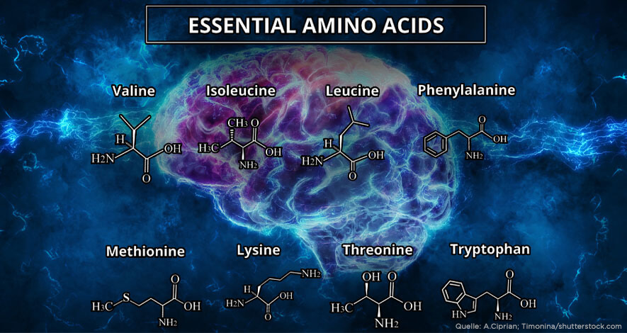 Was sind essentielle Aminosäuren und wie kannst Du davon profitieren?